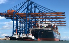 TP.HCM thúc tiến độ đề án trung tâm kinh tế biển quốc gia