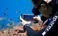 Galaxy S25 Ultra có thêm chế độ chụp ảnh dưới đáy biển