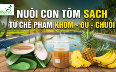 Cùng sống xanh số 146: Nuôi tôm sạch từ chế phẩm khóm - đủ - chuối