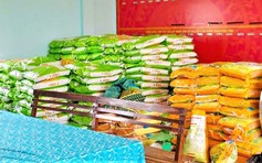 Vì sao hơn 10 tấn lúa giống hỗ trợ ở Gia Lai nằm tồn kho?