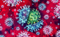 Vaccine cúm mùa 2026 và sự biến đổi của virus cúm: Những thông tin cần biết