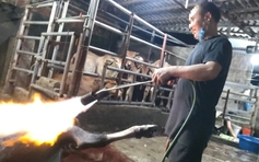 Phú Thọ chỉ đạo nóng vụ lò mổ 'chui' sau phản ánh của Báo Thanh Niên