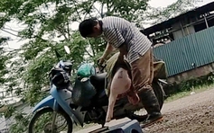 Đình chỉ công tác 2 cán bộ thú y 'nhờ chủ lò mổ đóng dấu kiểm dịch’