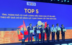 TP.HCM đứng đầu về chỉ số hiệu quả kinh tế tư nhân