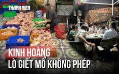 TP.HCM: Kinh hoàng 1 tấn gà không nguồn gốc