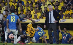 Đội tuyển Brazil họp khẩn, sự thật về suất dự World Cup của Neymar được hé lộ