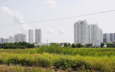Chuyển nhượng dự án vẫn tắc