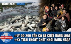 Toàn cảnh 17h: Điêu đứng 200 tấn cá chết ở hồ Trị An | Nhóm tìm vàng sống sót kỳ lạ sau 10 ngày