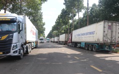 Xe container chở sầu riêng chờ kiểm định để xuất khẩu đậu kín Bến xe Dầu Giây