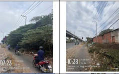 Đã hỗ trợ cắt tỉa cây xanh sà ra đường