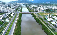 Chặt bỏ hai hàng cây khiến dự án kè sông 593 tỉ đồng chưa nghiệm thu