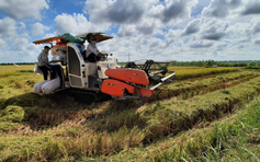 Đề xuất nhiều cơ chế phát triển 3 loại mô hình nông nghiệp ở Hà Nội