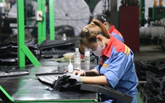 Cao su Bến Thành: Lấy chất lượng làm nền tảng phát triển bền vững