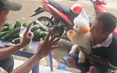 Chó biết làm toán hút triệu view: Khách tìm đến tận nơi để kiểm chứng