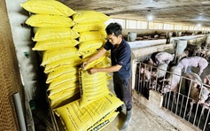 Thịt nhập khẩu tăng vọt, giá heo hơi giảm sâu