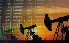 Giá xăng dầu hôm nay 13.6.2026: Giảm sâu về mức thấp nhất trong 3 tháng