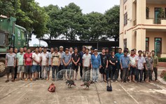 Đột kích trường gà ở Gia Lai, bắt giữ 31 người