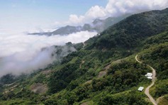 'Canh' quốc bảo trên đỉnh Ngọc Linh