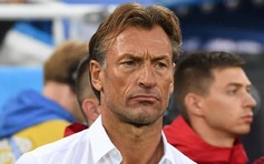 Nóng: Tunisia bổ nhiệm cựu HLV CLB Nam Định Herve Renard ngay sau trận thua Thụy Điển