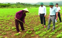 Ba Lòng khai mở tiềm năng kinh tế bằng những nghị quyết chuyên đề