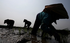 Thế giới ứng phó siêu El Nino
