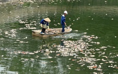 Hà Nội: Cá chết hàng loạt, nổi trắng hồ điều hòa công viên Nghĩa Đô