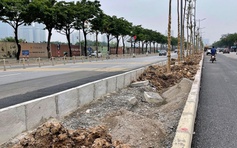Chủ đầu tư nói gì khi trồng cây trên nền đá dăm ở đường Võ Chí Công?