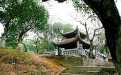 Dựng bảo tàng sinh thái Cổ Loa