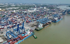Vì sao cước tàu biển vẫn chưa giảm?