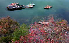 Nơi National Geographic không tiếc lời ca ngợi đẹp nhất Việt Nam