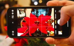 Vì sao camera iPhone đột nhiên hiện biểu tượng bông hoa?
