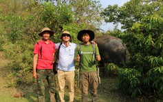 Vào rừng sâu Liên Sơn Lắk tìm voi sống tự do giữa đại ngàn Tây nguyên