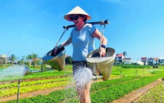 Lý do du khách dành cả chuyến đi chỉ ở một nơi của Việt Nam