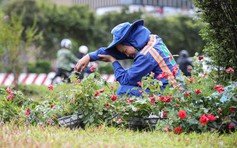 Nắng nóng cực đoan: Hiểm họa với người bệnh tim mạch