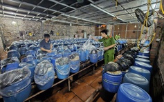 Bắc Ninh: 3 chủ cơ sở dùng 'nước kẹo' độc hại để sản xuất giá đỗ