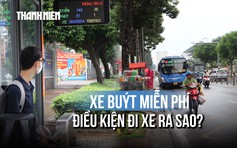 TP.HCM miễn phí 134 tuyến xe buýt từ hôm nay: Những điều hành khách cần biết