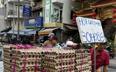 Giá trứng siêu rẻ 1.000 đồng/quả đã lan tới cổng trang trại, người chăn nuôi lỗ nặng