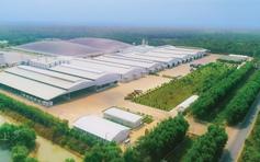 1.001 chuyện cây sắn và ethanol: Đến thủ phủ của sắn