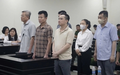 Tham ô khi sản xuất thiết bị ngành công an, cựu chủ tịch lãnh 29 năm tù