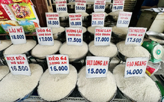 Giá gạo Việt Nam vẫn tăng dù Philippines ngừng nhập, vì sao?