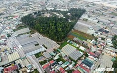1 thửa đất 'gánh' 3 quy hoạch, Lâm Đồng quyết gỡ nút thắt kéo dài
