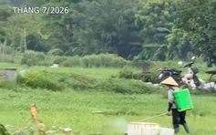 Phường nhận trách nhiệm vì tái diễn việc 'rau phun thuốc hôm trước, hôm sau mang bán'