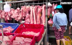 Giá heo hơi hôm nay 17.7.2026: Tạm ngừng đà tăng