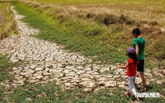 'Siêu El Nino' sắp xuất hiện, ứng phó thế nào?