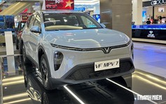 Xe gia đình cỡ nhỏ: VinFast nắm gần 60% thị phần, nhóm xe xăng thất thế