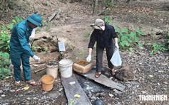 Sốt xuất huyết tăng nhanh tại Gia Lai