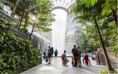 Vì sao nhiều gia đình chọn Singapore cho chuyến xuất ngoại đầu tiên của con?