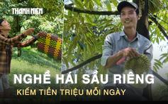 Leo cây ‘hái tiền’: Nghề thu hoạch sầu riêng kiếm tiền triệu mỗi ngày ở Lâm Đồng
