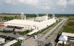 Hành trình 10 năm tại ‘nhà máy gỗ không ngủ’ ở miền Tây