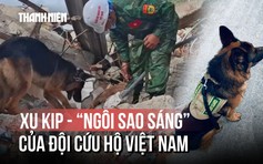 Được đeo huân chương ở Venezuela, 8 chú chó nghiệp vụ Việt Nam có gì đặc biệt?
